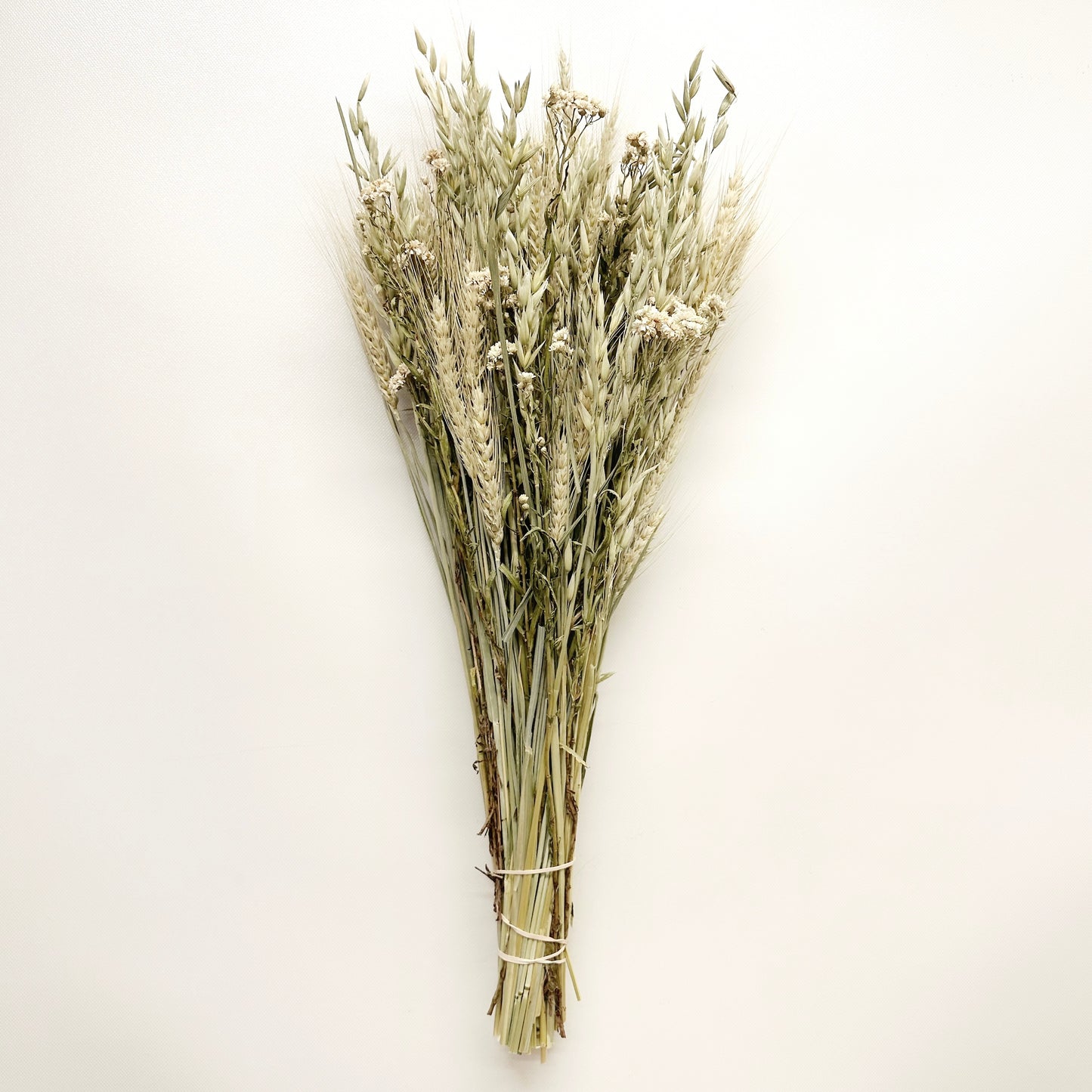 Dried Spring Green Grains with Pearly Everlasting Bouquet