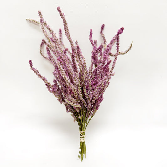 Dried Rattail Statice Bouquet