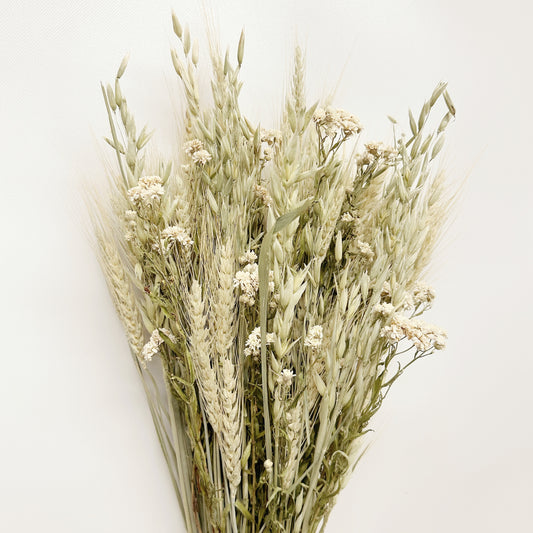 Dried Spring Green Grains with Pearly Everlasting Bouquet