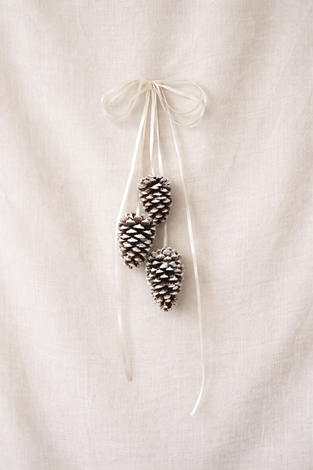 Dried Softlight Hanging Pinecones