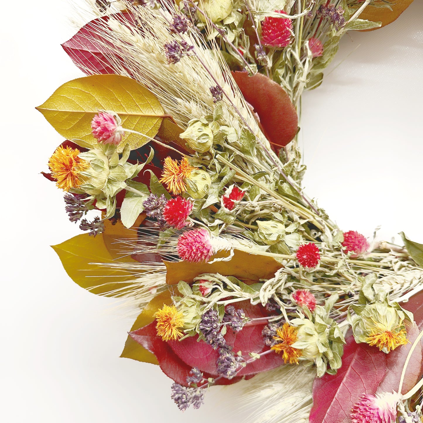 Dried and Preserved Fall Moonlight Wreath