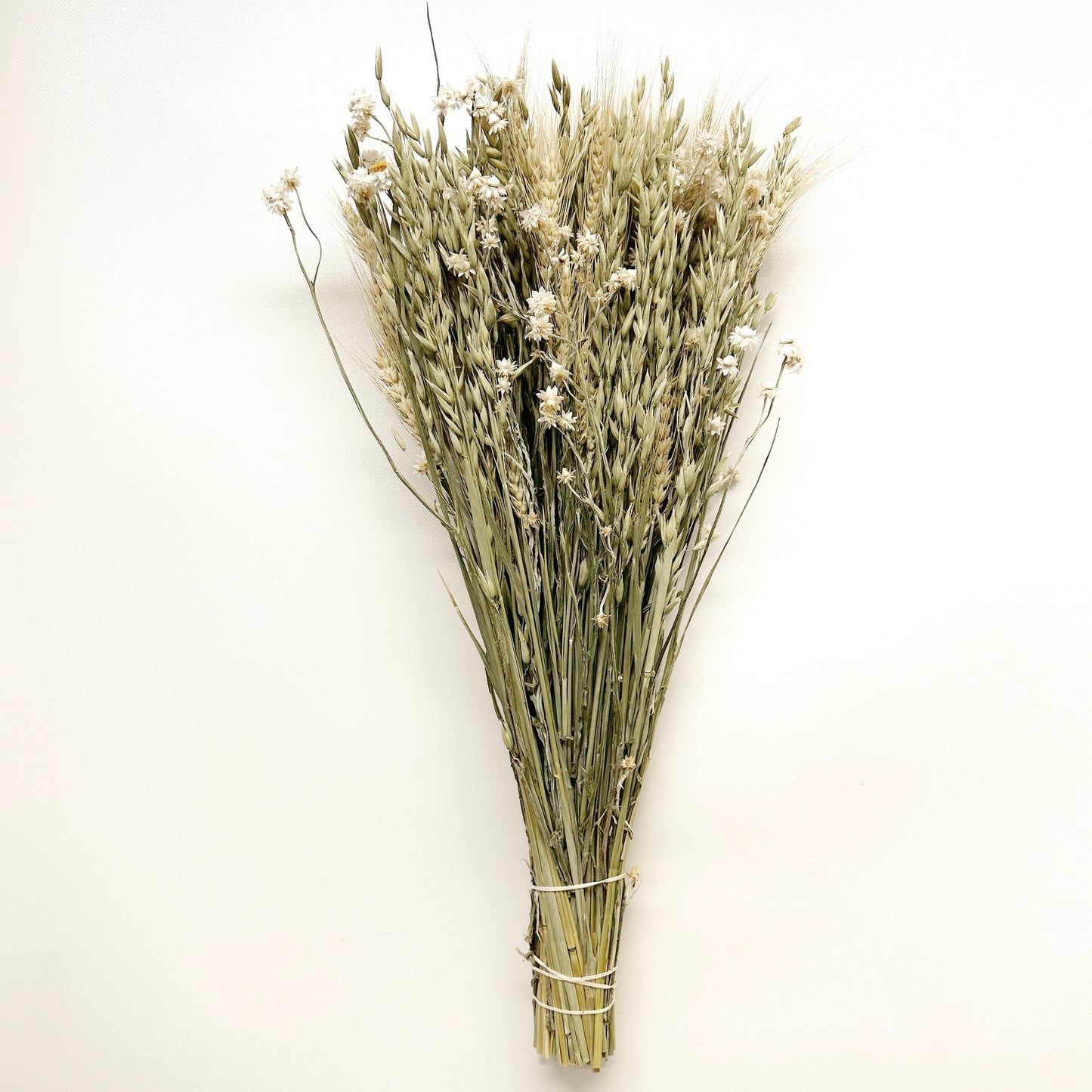 Dried Spring Green Grains with Ammobium Daisies Bouquet