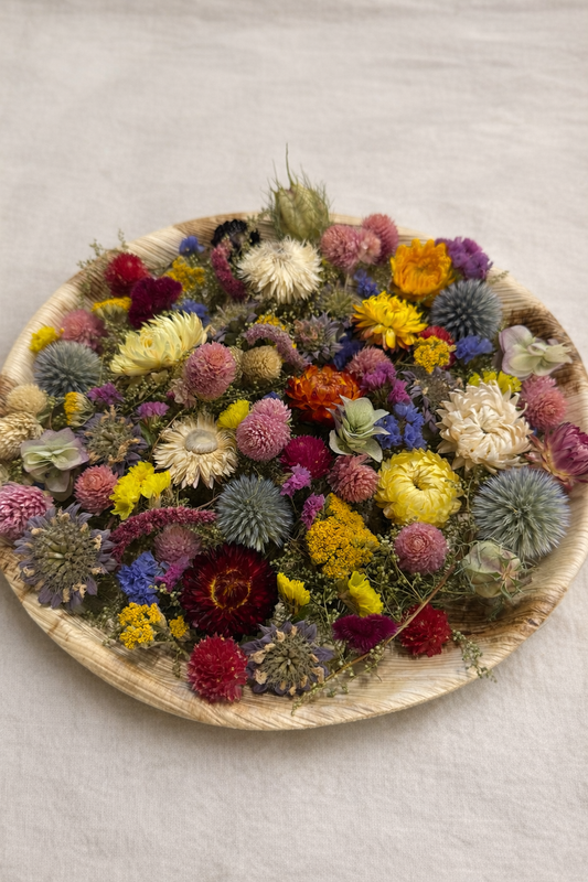 Dried Colorful Quiche Floral Palm Leaf Wall Art