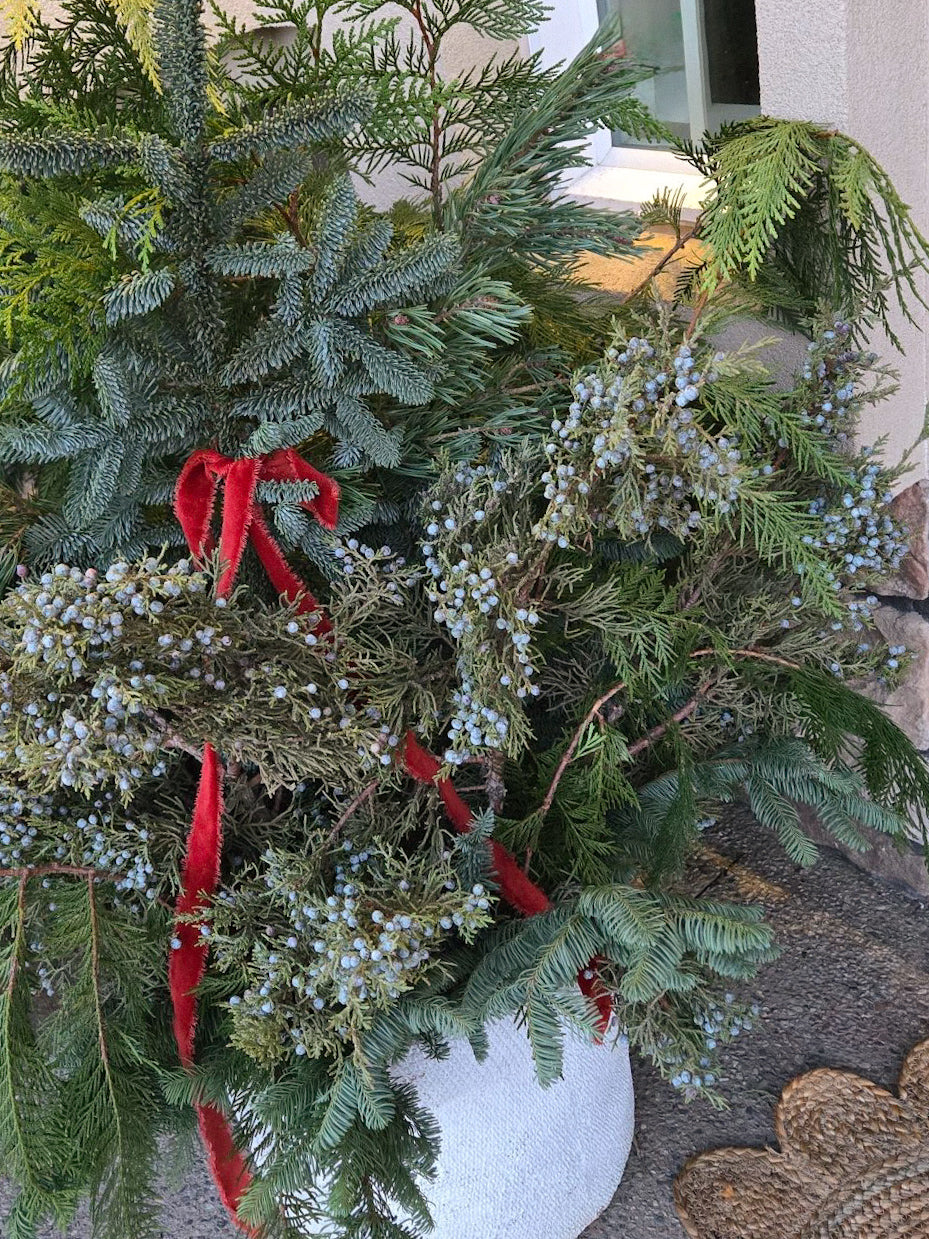 Fresh Evergreens Boughs of the Season Decorating Greenery Box DIY Kit