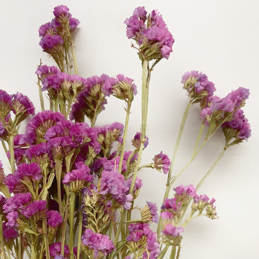 Dried Fuschia Pink Sinuata Statice Bouquet