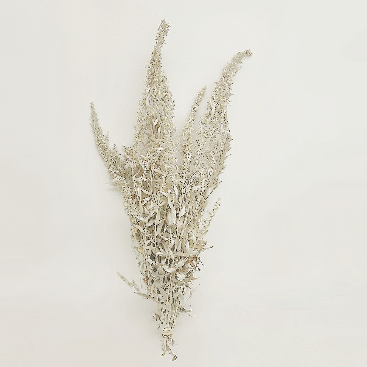 Dried Silver King Artemisia Bouquet
