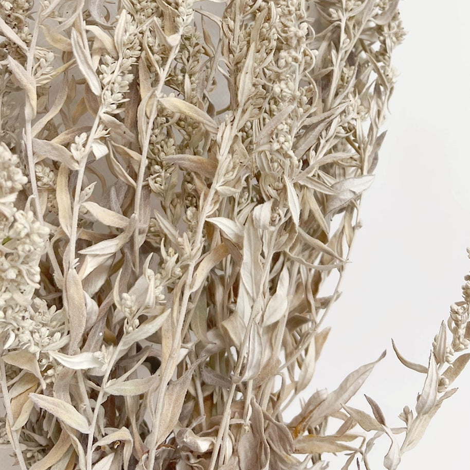 Dried Silver King Artemisia Bouquet