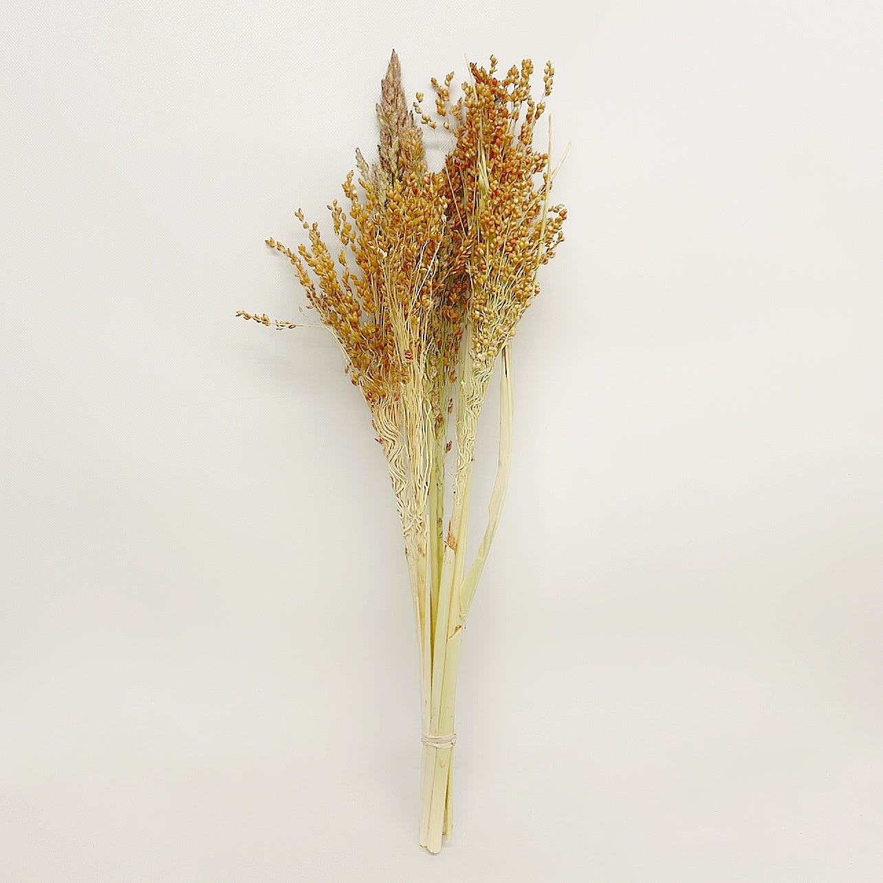 Dried Orange Broom Corn Bouquet