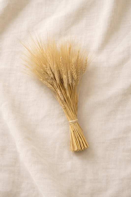 Dried Golden Blond Wheat Bouquet