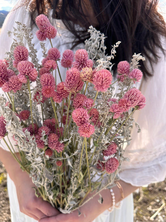 Dried Pink Globe Amaranth and Artemisia Bouquet