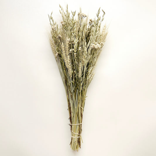 Dried Spring Green Grains with Pearly Everlasting Bouquet