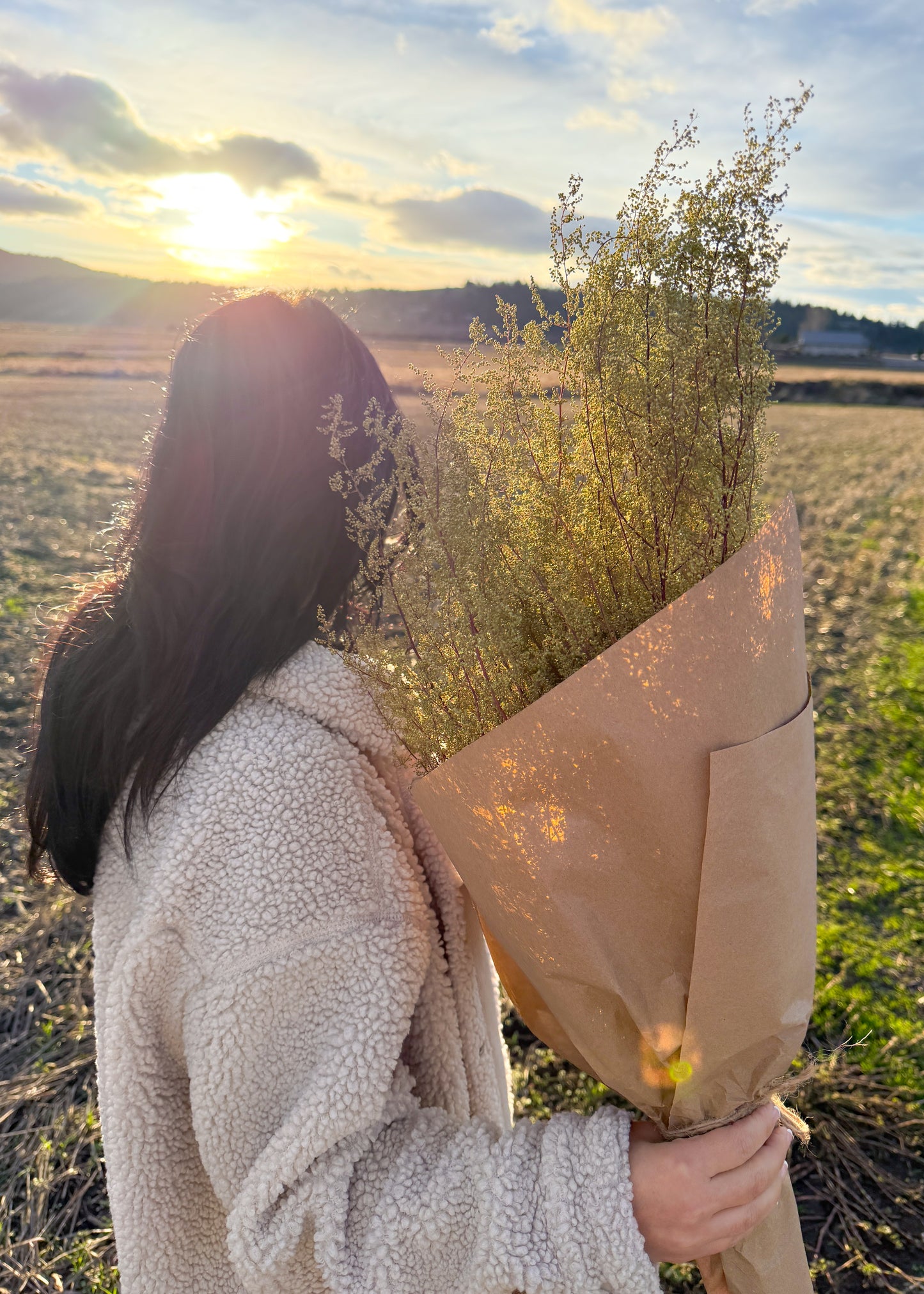 Dried Sweet Annie Bouquet