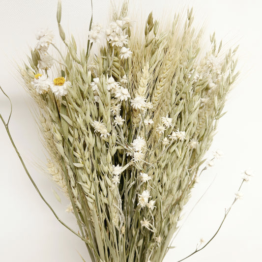 Dried Spring Green Grains with Ammobium Daisies Bouquet