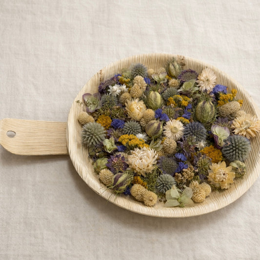 Dried Sunlight Pan Floral Palm Leaf Wall Art