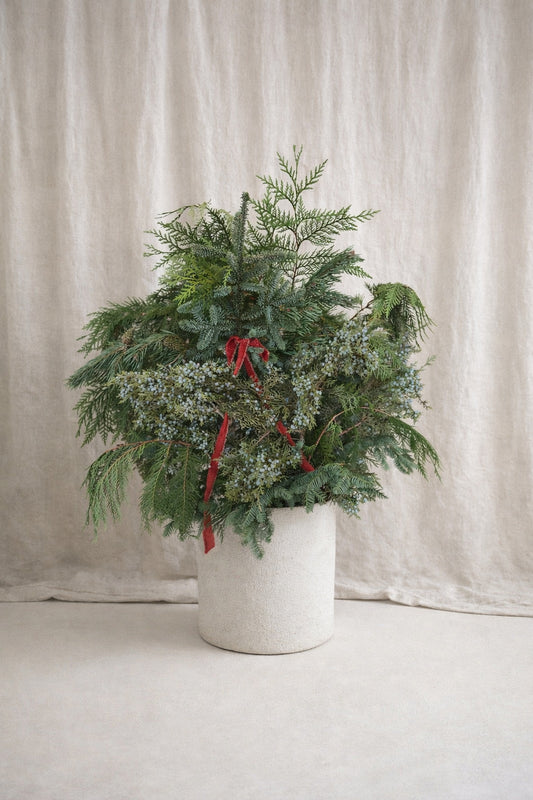 Fresh Evergreens Boughs of the Season Decorating Greenery Box DIY Kit