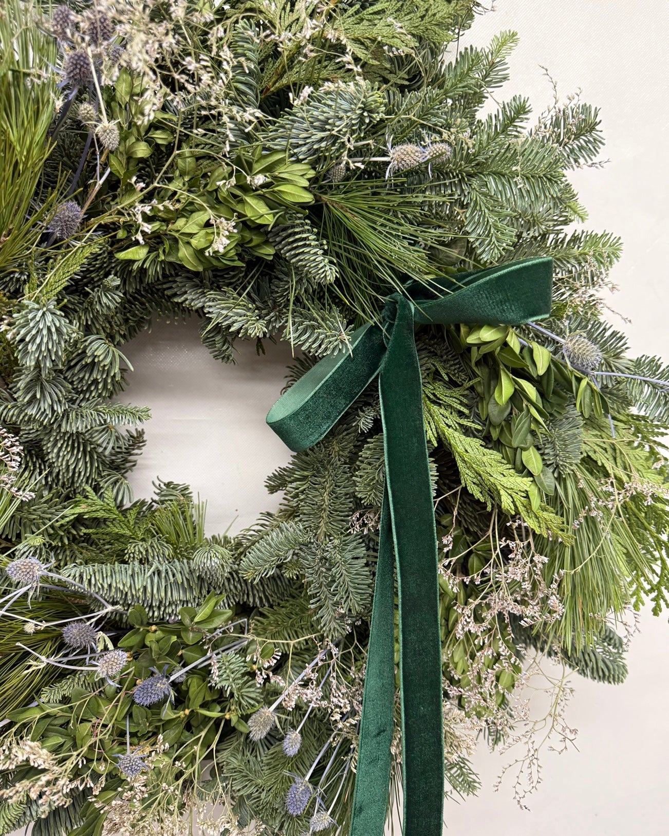 Fresh Evergreens Sea Holly Frost Wreath