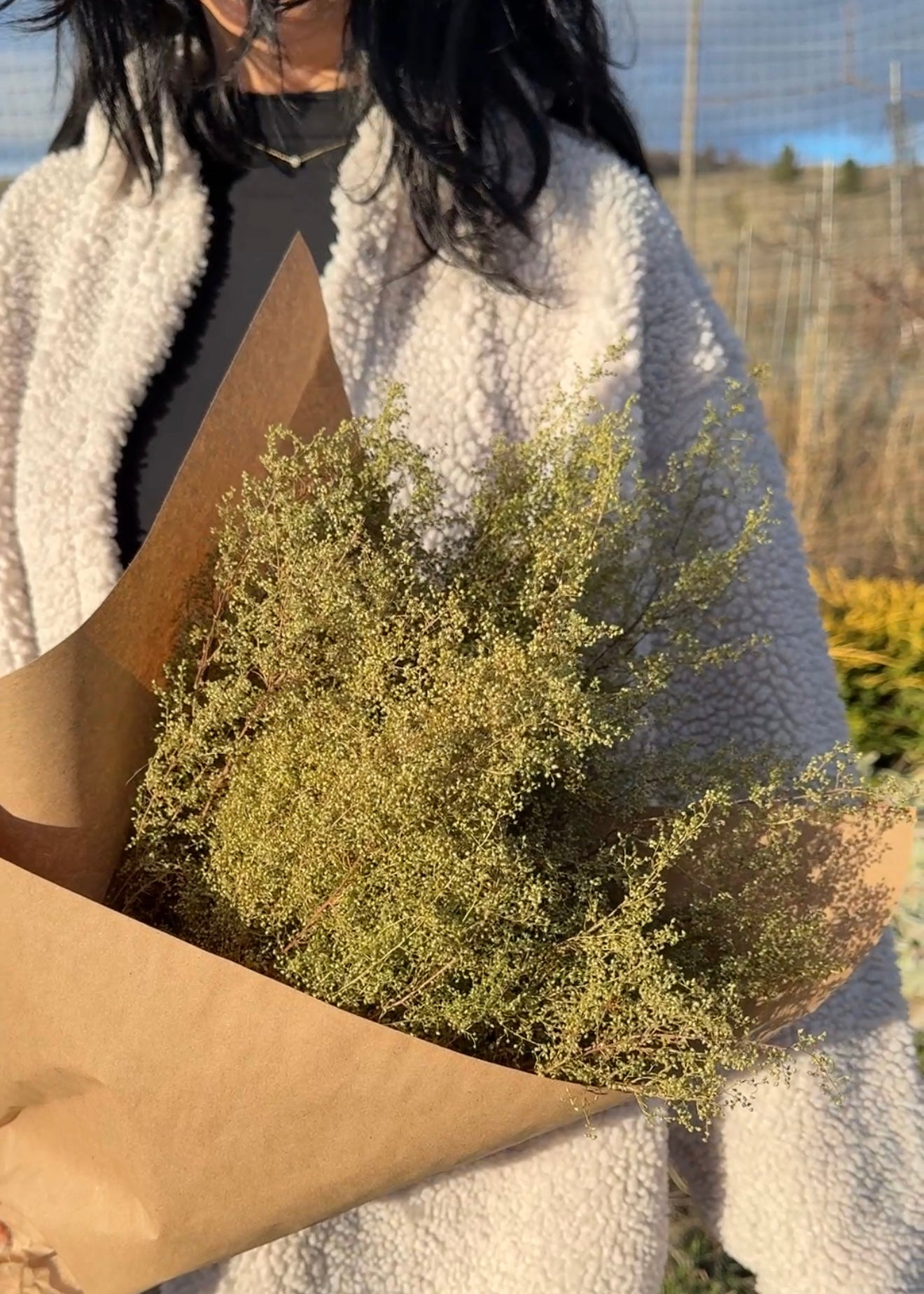 Dried Sweet Annie Bouquet