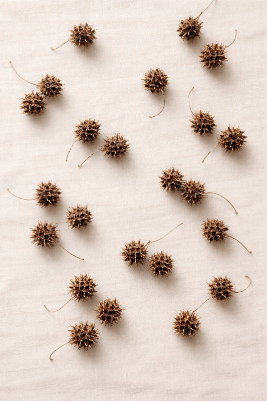 Dried Sweet Gum Drops Balls