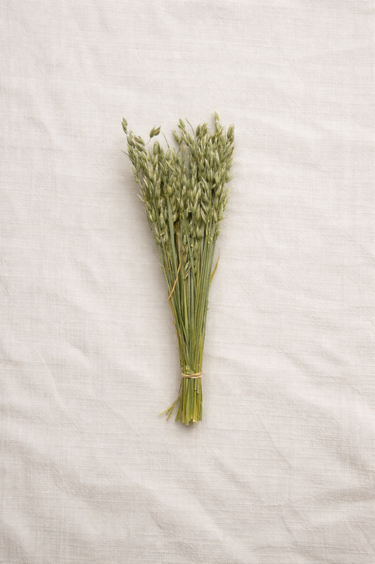 Dried Sunwashed Green Avena Oats Bouquet