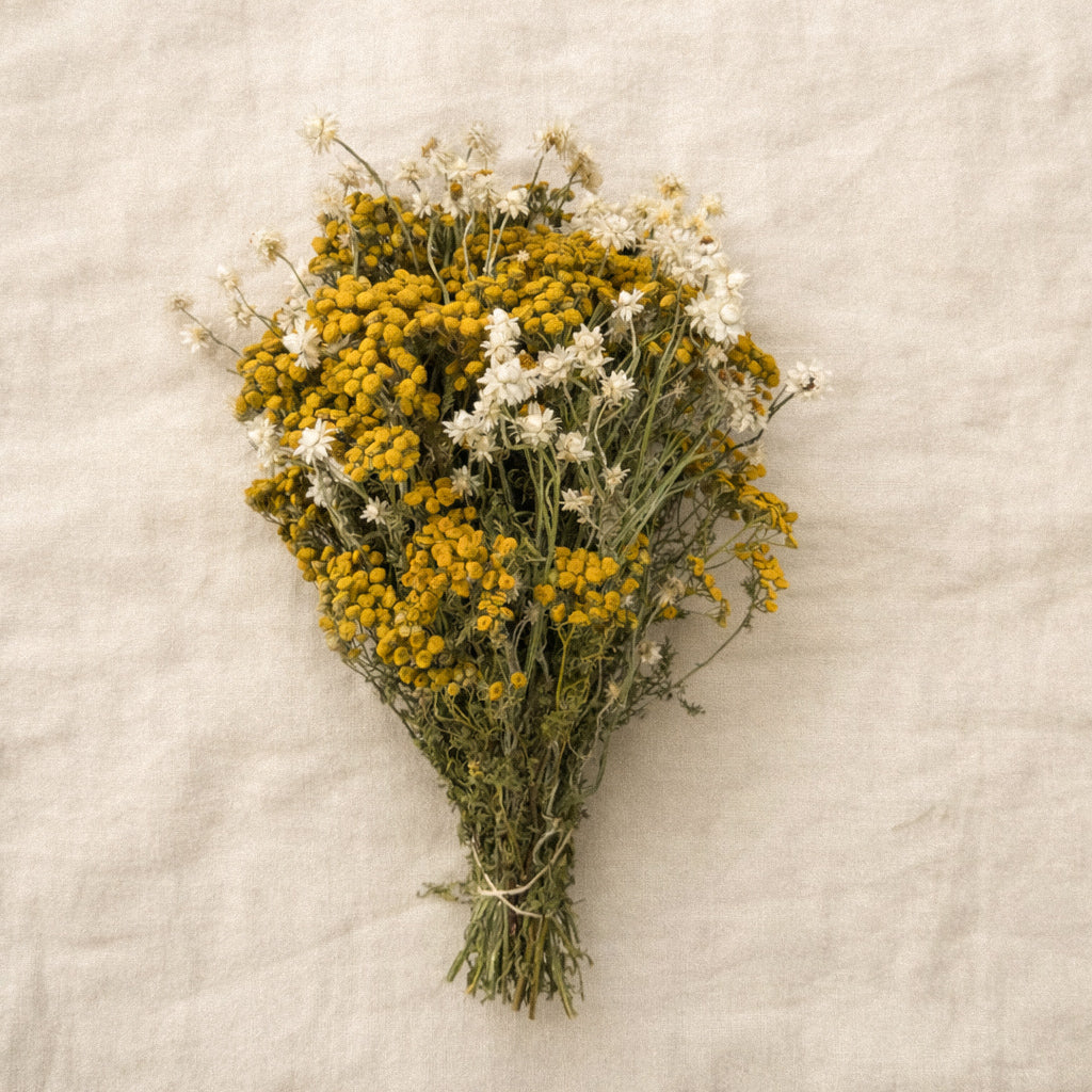 Dried Daisies and Tansy Bouquet