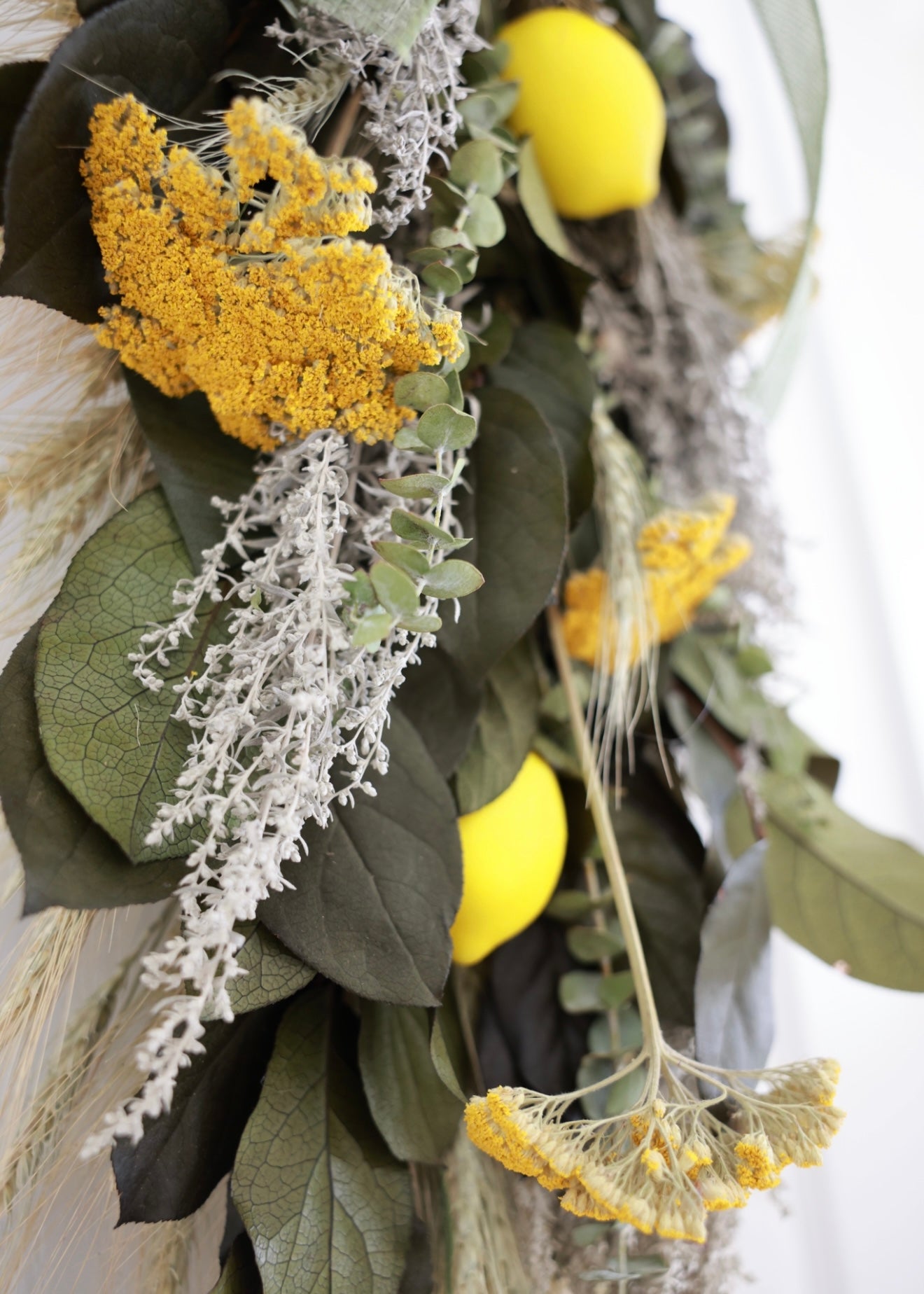 Dried and Preserved Sicilian Lemon Door Greeter Swag