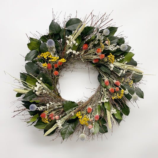 Dried and Preserved English Pearly Wreath