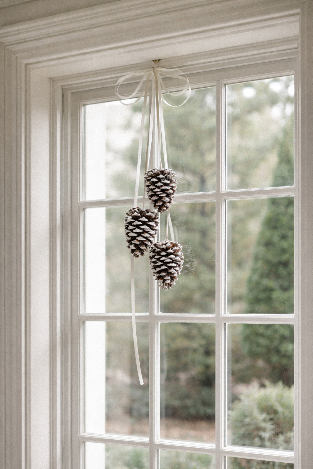 Dried Softlight Hanging Pinecones