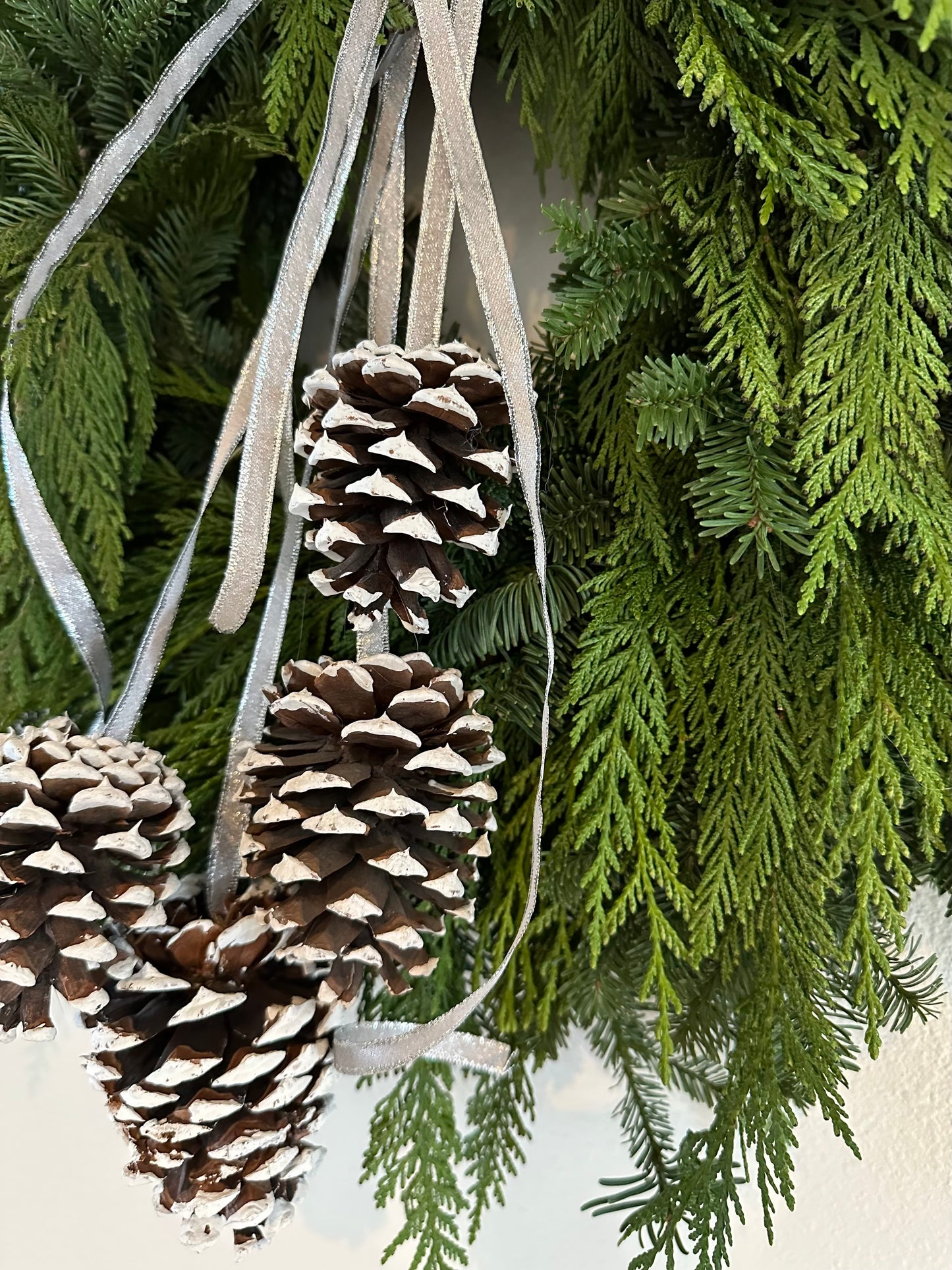Fresh Evergreens Silvercrest Garland