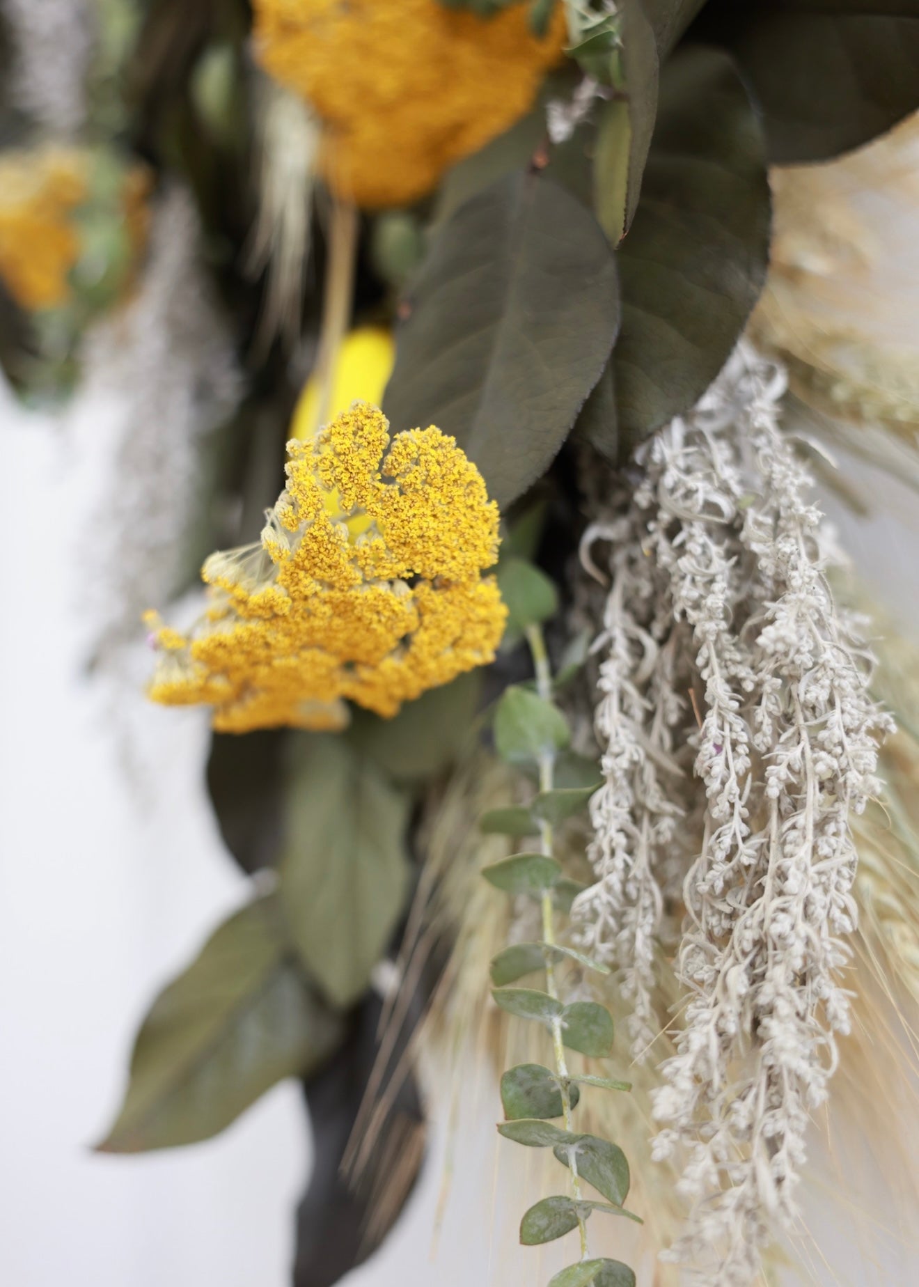 Dried and Preserved Sicilian Lemon Door Greeter Swag