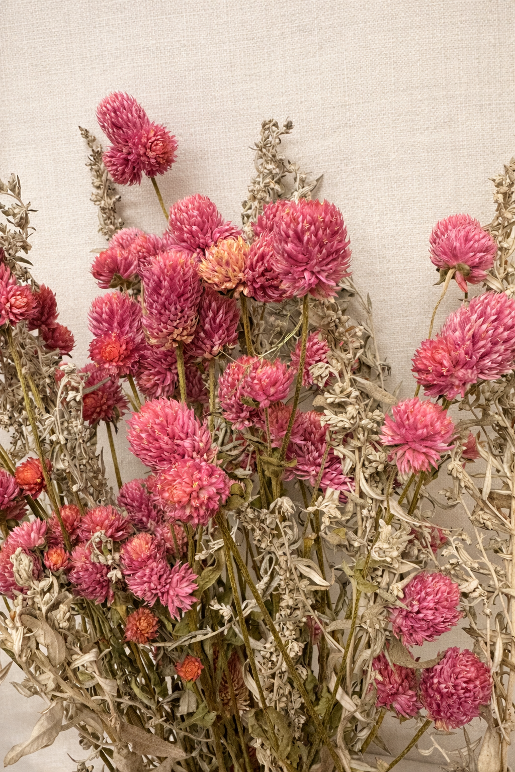 Dried Pink Globe Amaranth and Artemisia Bouquet
