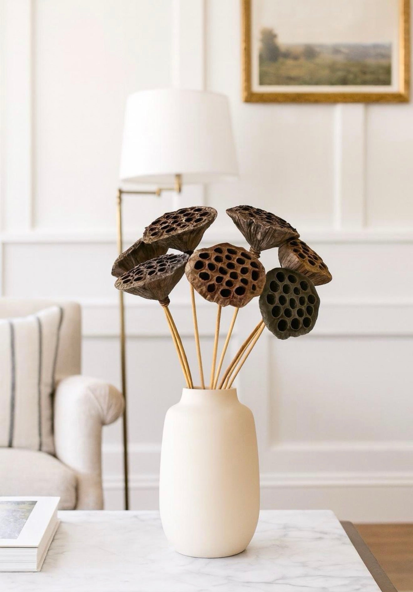 Dried Stemmed Lotus Pods