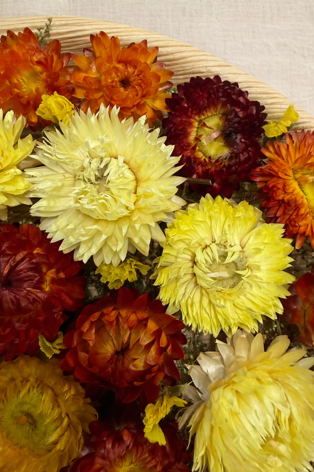 Dried Sunset Lasagne Floral Palm Leaf Wall Art