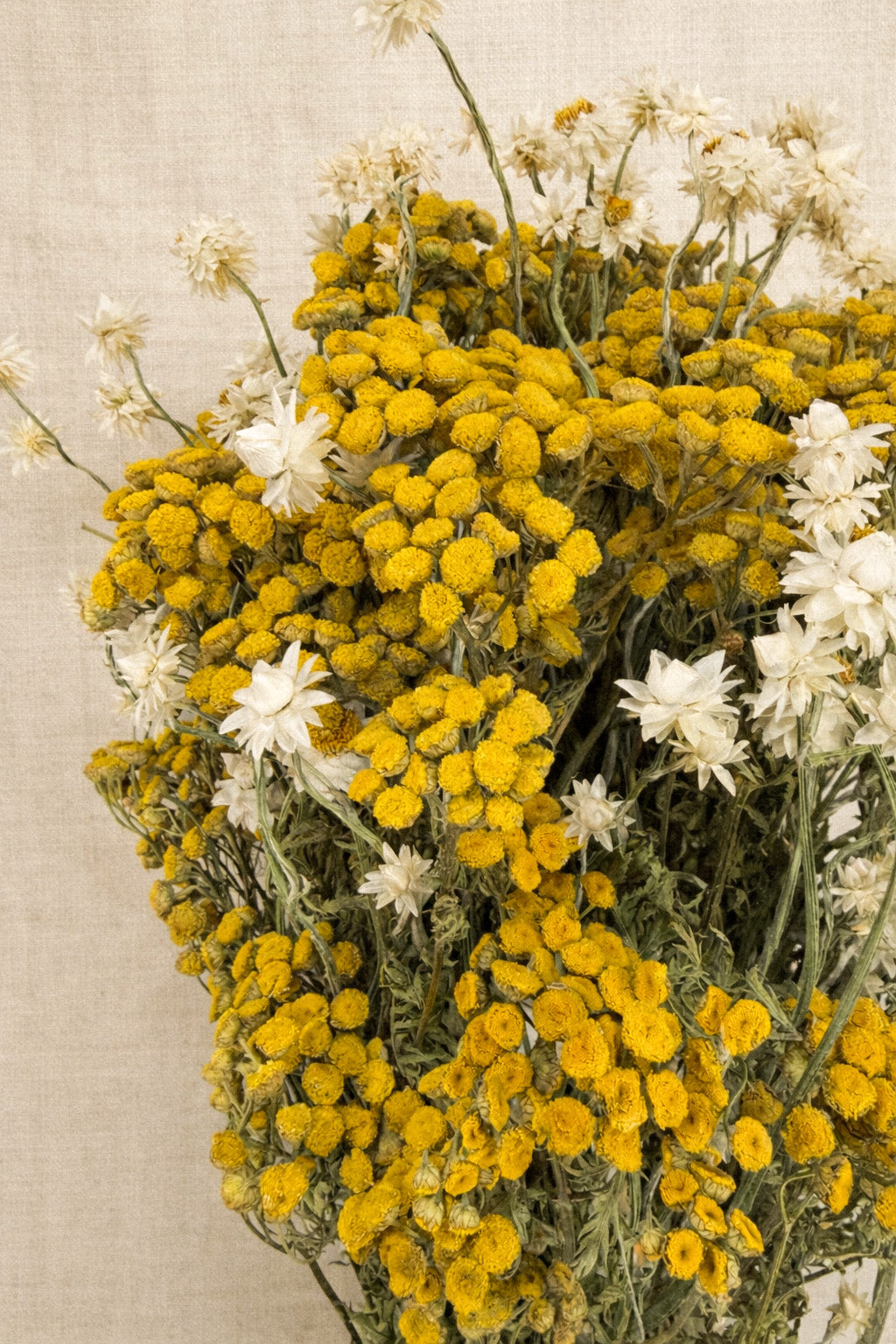 Dried Daisies and Tansy Bouquet