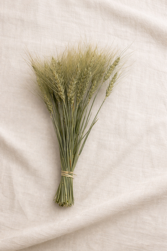 Dried Sunwashed Dusty Green Wheat Bouquet