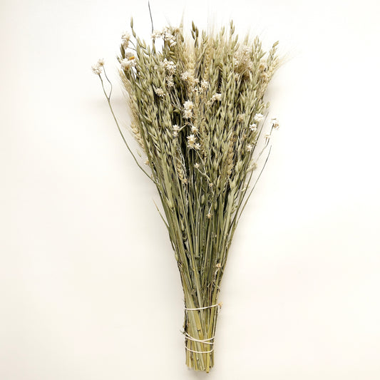 Dried Spring Green Grains with Ammobium Daisies Bouquet