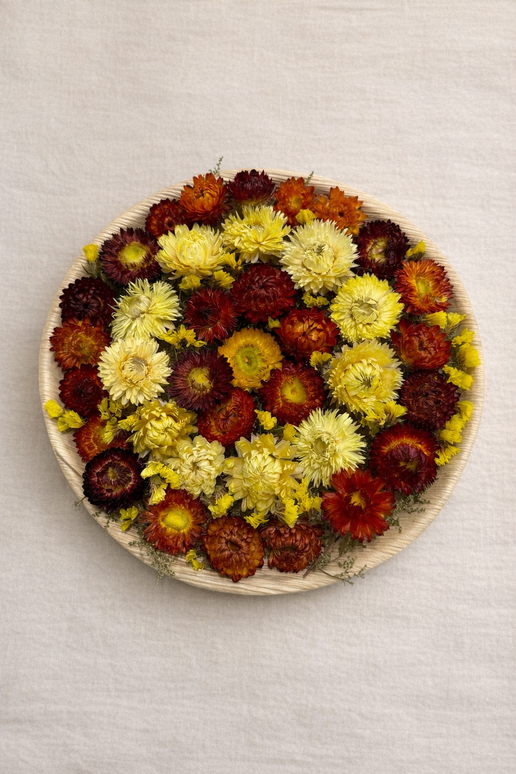 Dried Sunset Lasagne Floral Palm Leaf Wall Art