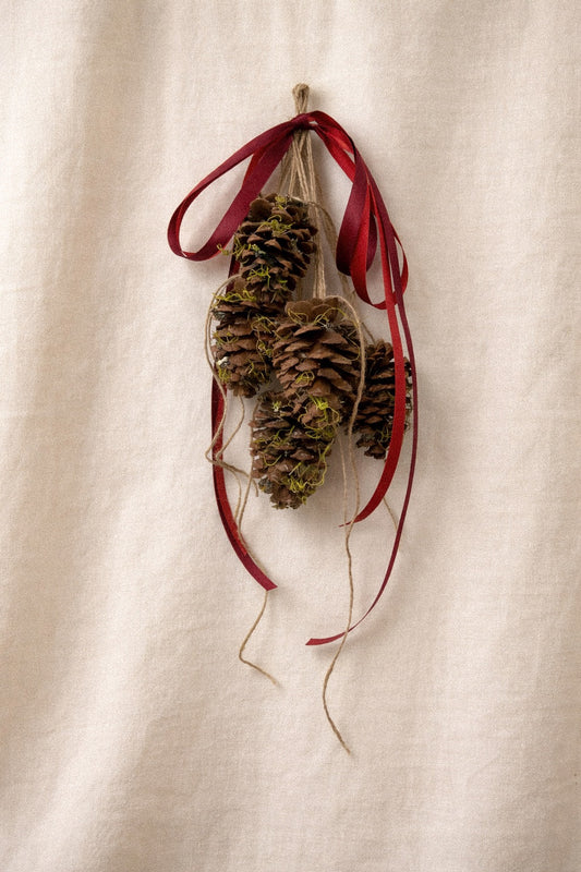 Dried Moss Hanging Pinecones