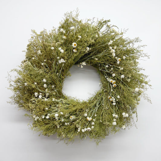 Dried Ammobium Gardens Wreath