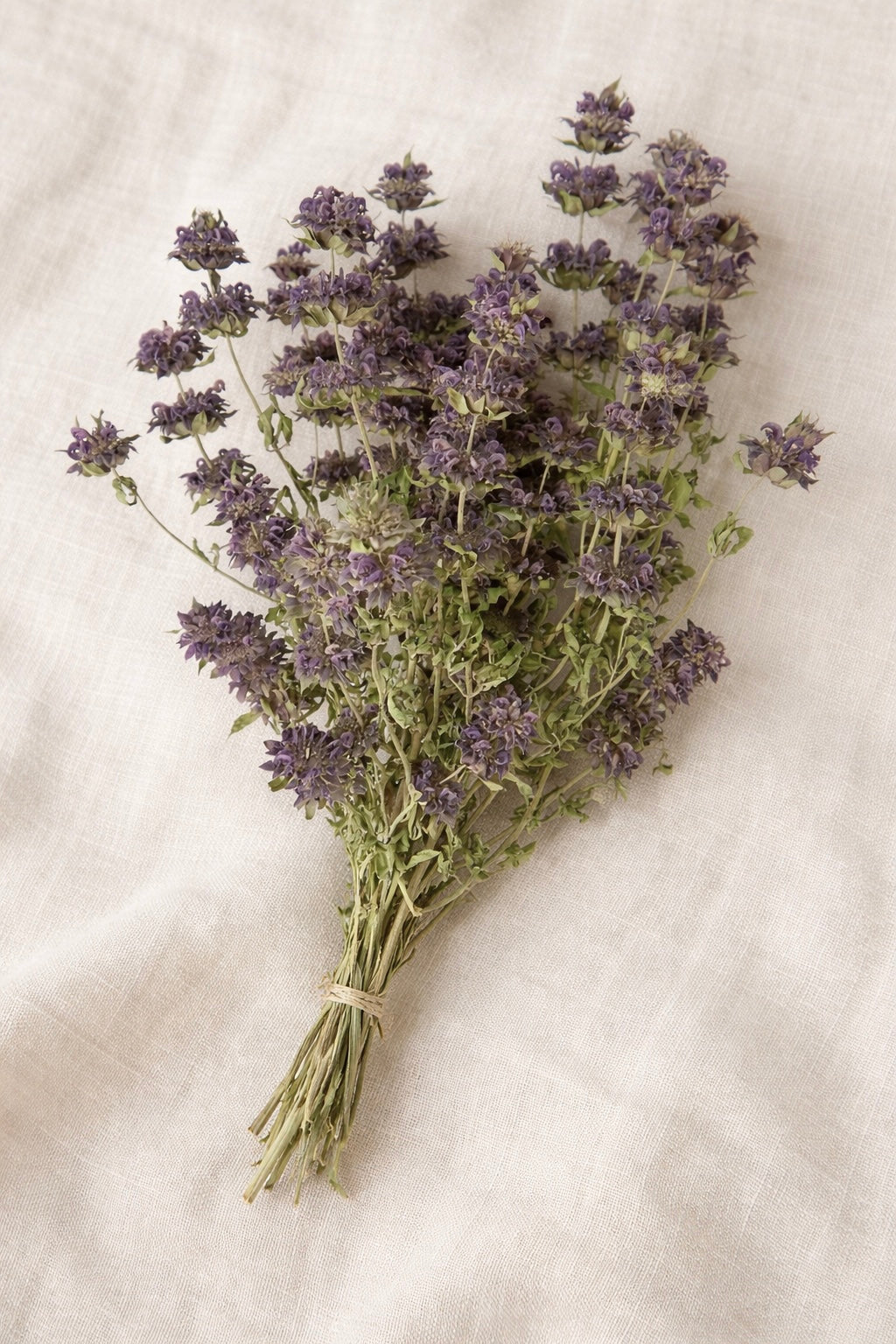 Dried Lemon Mint Bouquet