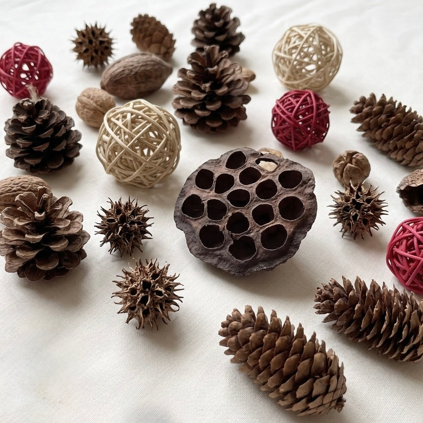 Dried Cones and Wicker Box Assortment