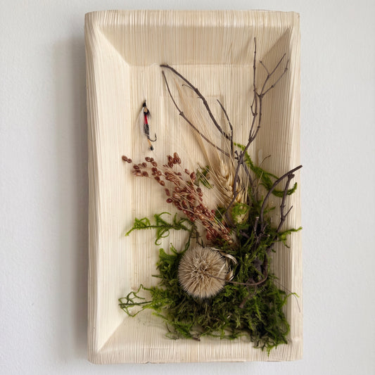 Dried Royal Coachman Fly Fishing Wall Art