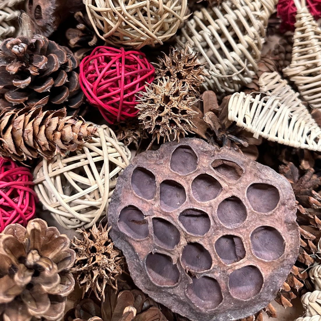 Dried Cones and Wicker Box Assortment