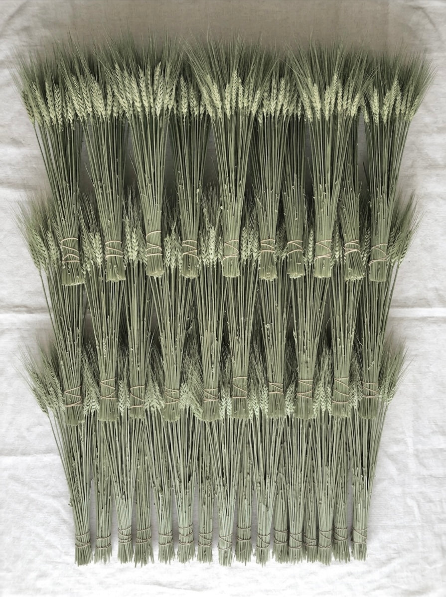 Dried Green Wheat Bunch Bouquet (8 ounces each)