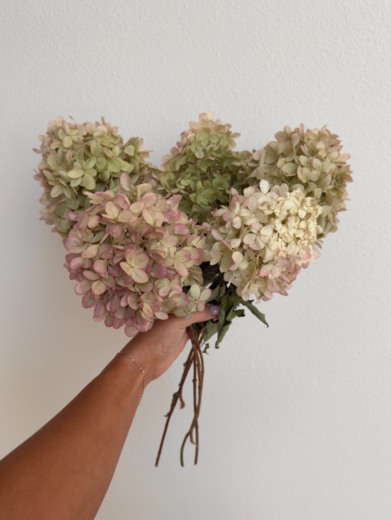 Dried Limelight Hydrangea Bouquet