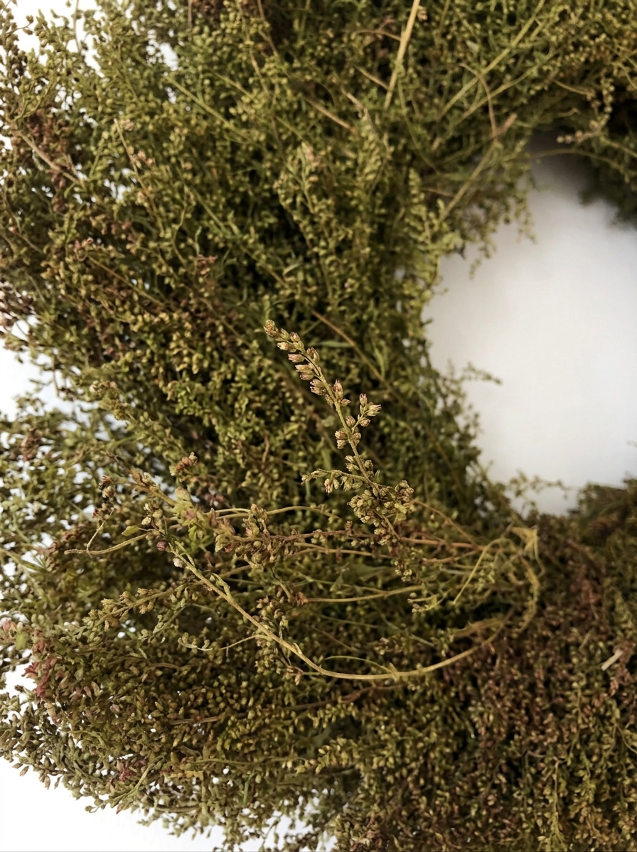 Dried Sweet Annie Wreath