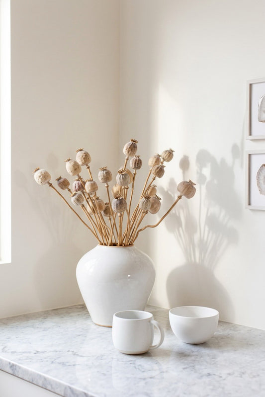 Dried Stemmed Poppy Pods