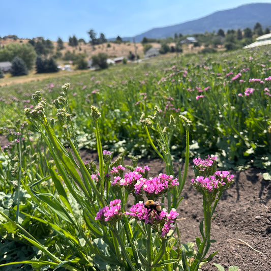 Dried Ivory Satin Bow Heart Wreath