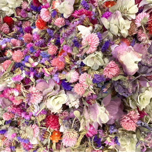 Everlasting Dried Flower Confetti with No Yellow