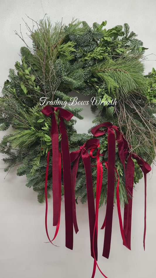 Fresh Evergreens Trailing Bows Wreath