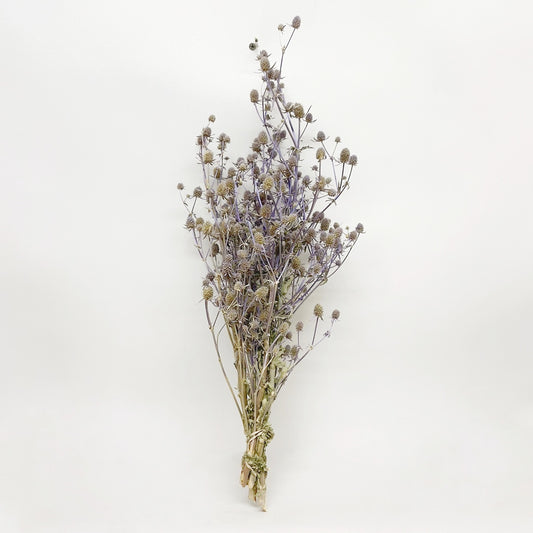 Dried Bluish Grey Eryngium Sea Holly Bouquet